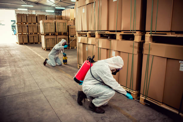 Best Pest Removal Services  in Stonewall, LA