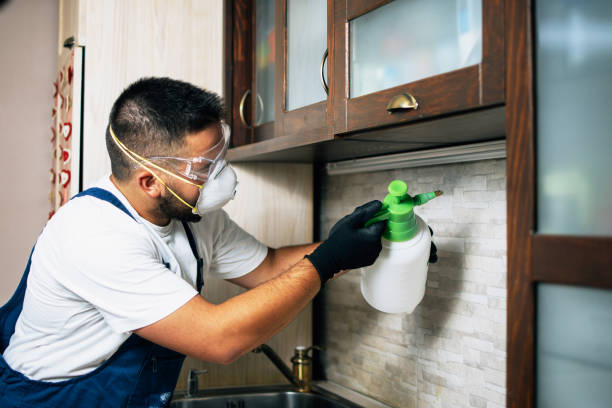 Best Rat Extermination Near Me  in Stonewall, LA