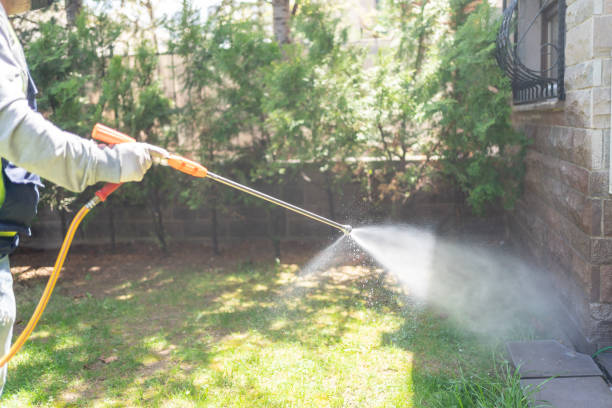 Reliable Stonewall, LA Pest Control Solutions