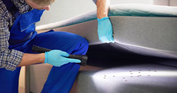 Best Best Pest Control Companies  in Stonewall, LA
