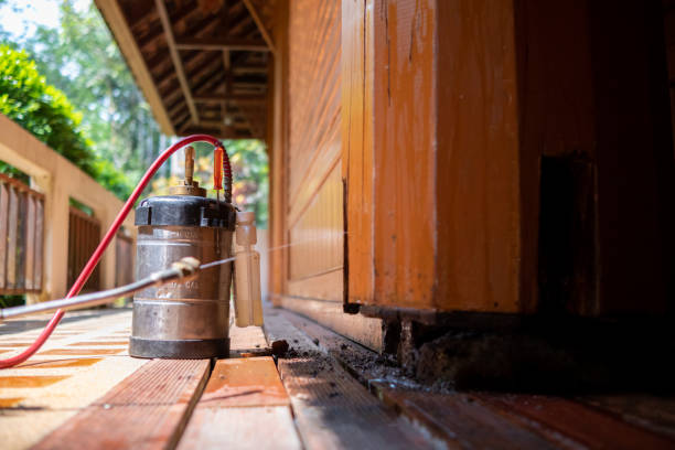 Best Affordable Pest Control Services  in Stonewall, LA