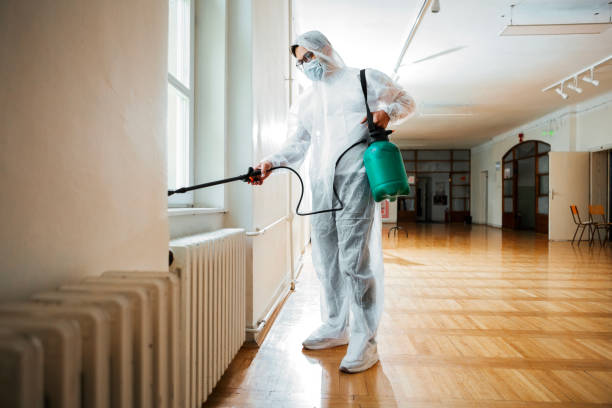 Best Residential Pest Control  in Stonewall, LA