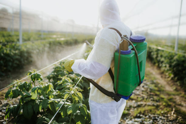 Best Exterminator Services  in Stonewall, LA